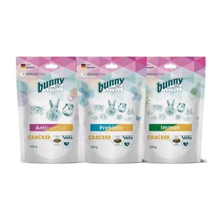 【超取免運】德國 邦尼Bunny🍀鼠兔 草磚 排毛/益生元/免疫力 100g 兔子 天竺鼠 倉鼠 栗鼠 菊粉 腸道