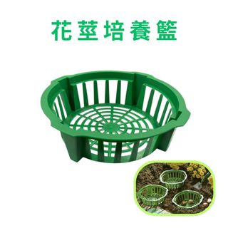 GS MALL 台灣製造 花莖培養籃 球莖種植籃 球根花卉籃 花球莖籃 洋蔥植物籃 花球莖碗 植物碗 繁殖託盤