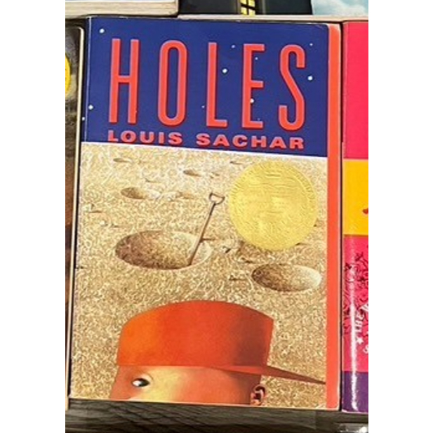 [電影改編] Louis Sachar 《HOLES》 二手 英文 小說 原文
