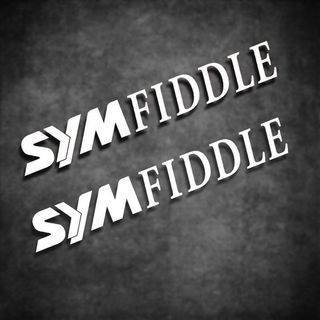 sym 避震貼 避震防水反光車貼 適用於三陽飛度前叉貼避震貼防水反光個性裝飾貼摩托車貼
