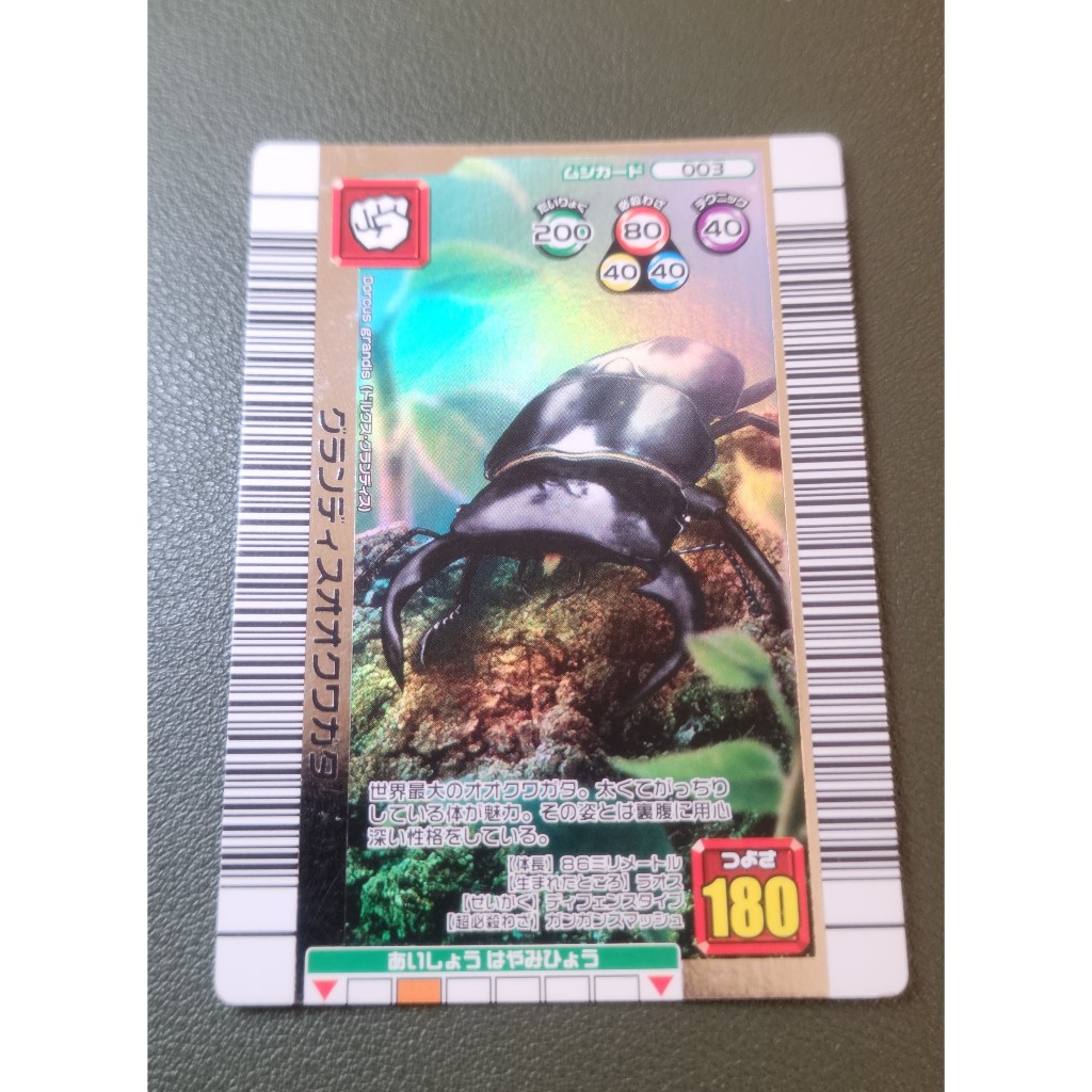 巨大扁鍬形蟲   /專區/  甲蟲王者/舊甲蟲王者/卡片/收藏/兜蟲/獨角仙/鍬形蟲/甲蟲