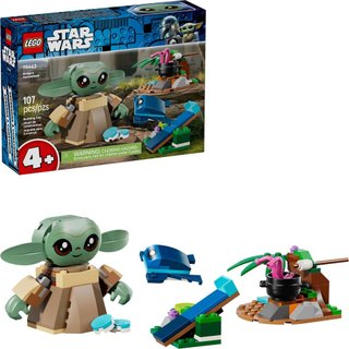 LEGO樂高 75443 Star Wars 星際大戰系列 2601 - 古古的家園