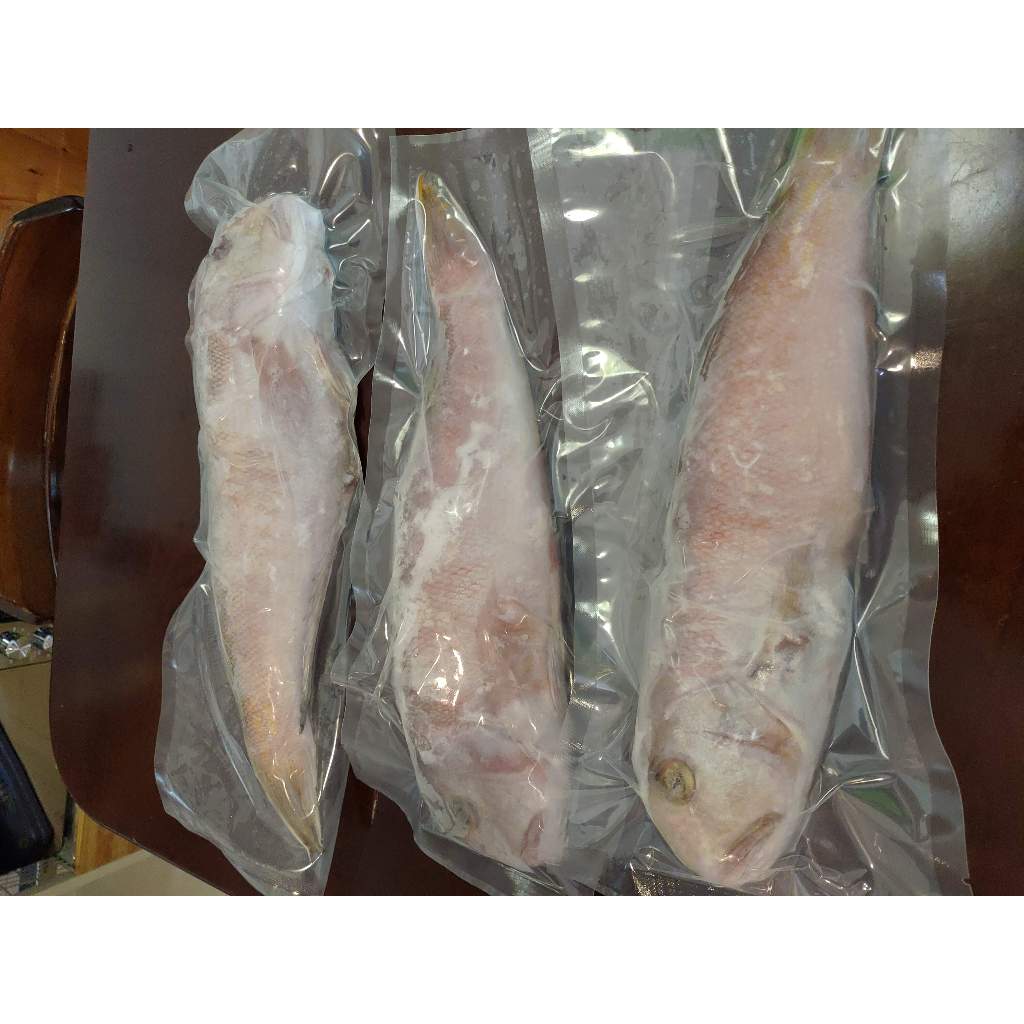 馬頭魚的價格推薦- 2026年1月| 比價比個夠BigGo