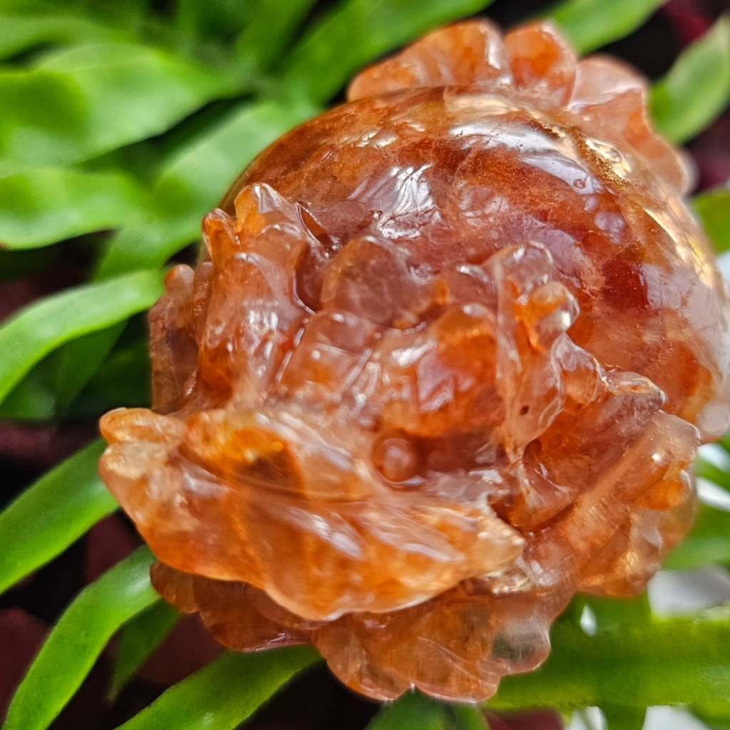 紅糖色的紅膠花龍龜🍬 小小甜心，守護你的每一天 🍬 龍龜 平安 鎮宅 化煞 擋小人 招財