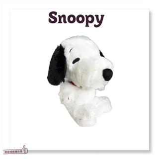 📣[開立發票臺灣賣家] 🐾現貨速發 正版 史努比 SNOOPY 27cm 大頭造型 絨毛娃娃 PEANUTS 禮物
