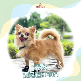 anifull 包覆型-愛犬護足鞋HERO 狗狗腳掌 狗狗行走問題 狗狗走路拖地 狗狗關節問題 狗狗步行輔助 狗狗腳掌