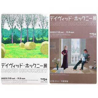 日版DM收藏💫大衛霍克尼 David Hockney💫東京現代美術館 畫展 展覽 廣告單 宣傳單 小海報 日本