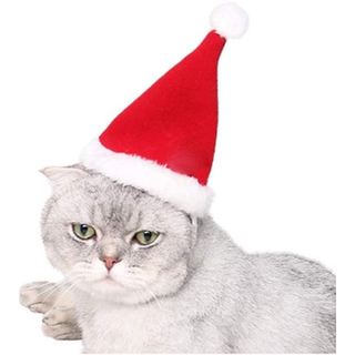 Dog Cat Christmas Santa Hat Adjustable Plush Pet Hat Kitten