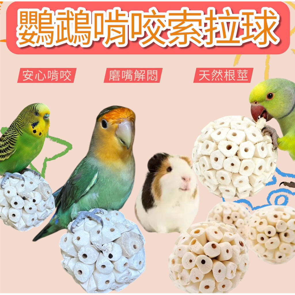 索拉球│佳昱興寵物百貨│寵物鳥、鸚鵡用│鳥玩具
