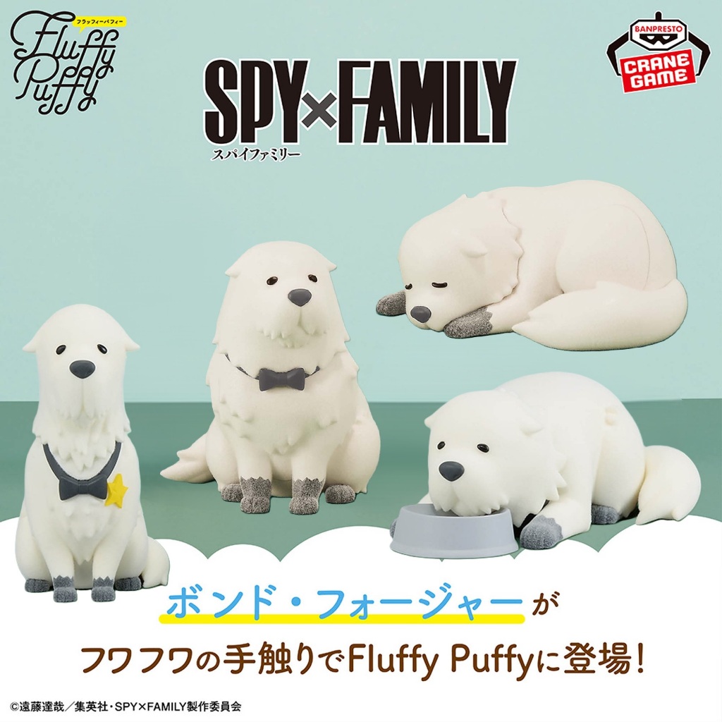 🌀日版客🌀 日版 間諜家家酒 Fluffy Puffy 彭德 SPY×FAMILY 景品 公仔