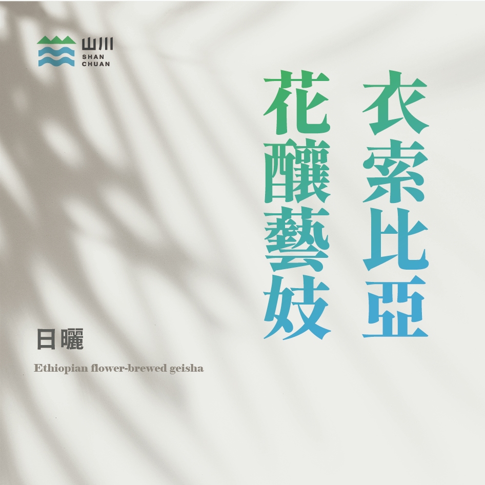 (獨家!) 衣索比亞 西達摩 花釀藝妓 日曬 咖啡廳 咖啡機 批發合作_山川生豆