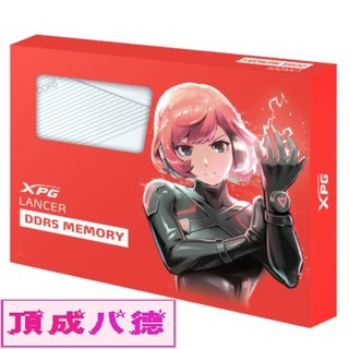 ADATA 威剛 XPG Lancer DDR5 6000 (16Gx2) (32G*2) 32GB 64GB 記憶體