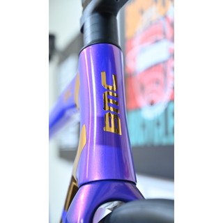 BMMB 改色貼紙 for BMC TEAM MACHINE SLR 01 手工客製化｜精準測量｜覆蓋原廠烤漆 LOGO