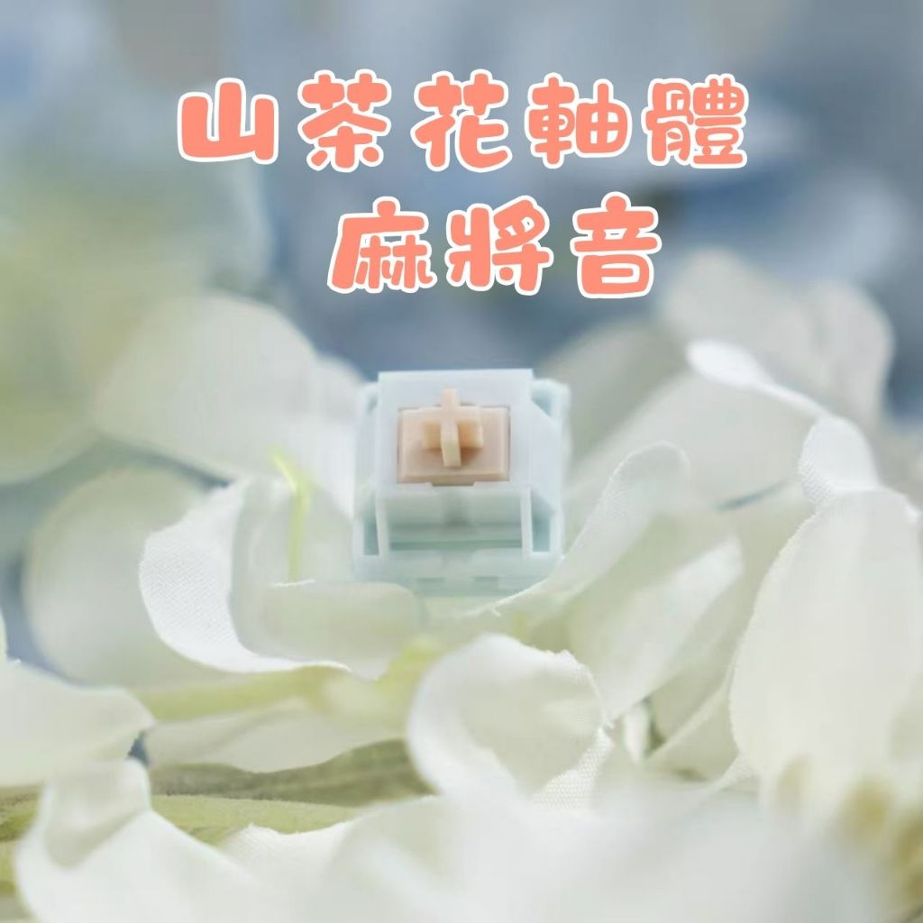 🔥隔日出貨🔥山茶花軸 線性軸 客製化 麻將音 五腳軸 機械鍵盤軸體 軸體 熱插拔  DIY 十字軸 電競