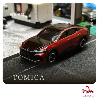 WM模型 TOMICA NO.72 TOYOTA CROWN 二改 細節加強 模型車