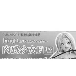 可議價 正版拆檢 insight 肉感少女F 1/6 公仔 完成品 正版