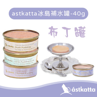 astkatta 冰島補水布丁罐 40G 補水罐 貓罐 肉泥罐 小鳥胃貓 少量多餐