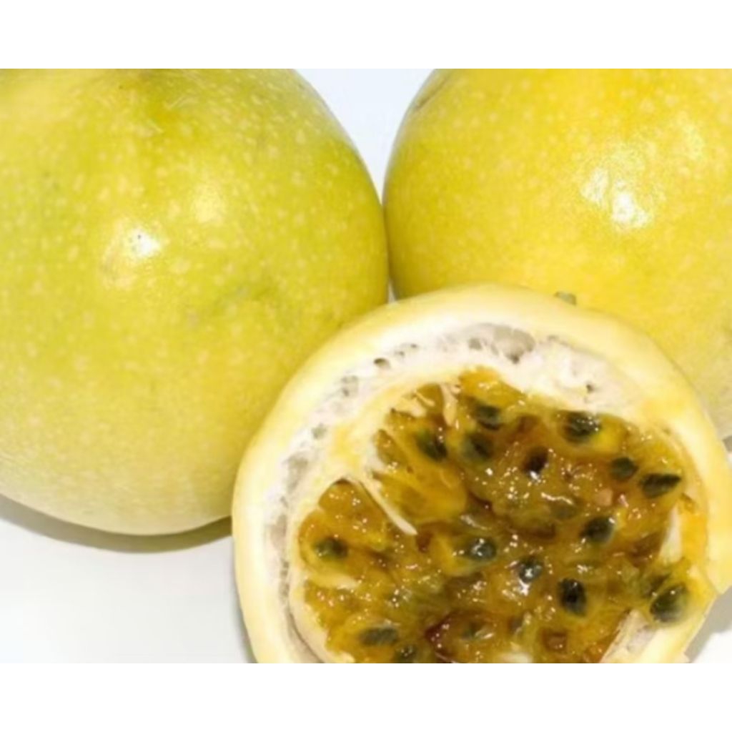 黃金百香果｜優惠推薦- 蝦皮購物- 2026年1月