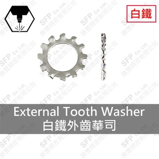 【勝豐精密】白鐵 外齒華司 M2-M24｜304不鏽鋼 430 齒形 墊圈 減震 SUS 墊片 鋸齒華司 齒型華司 BW
