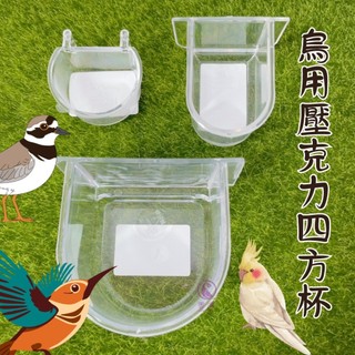 【現貨】鳥用壓克力四方杯 小吊杯 九官鳥用壓克力杯 食杯/食盆/水碗/水杯 飲水杯/碗 飼料碗 鸚鵡