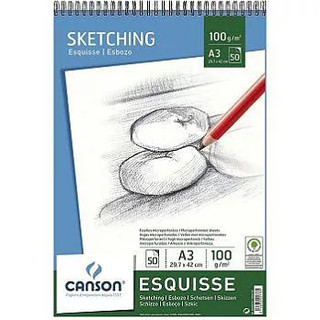 【圓融文具小妹】法國 CANSON 康頌 美術專用紙 素描簿 素描本 圖畫紙 A3 50張入100磅 #450