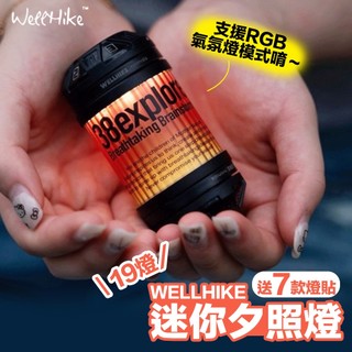 WELLHIKE 露營燈 LED露營燈 19燈 充電式露營燈 照明燈 戶外燈 氛圍燈