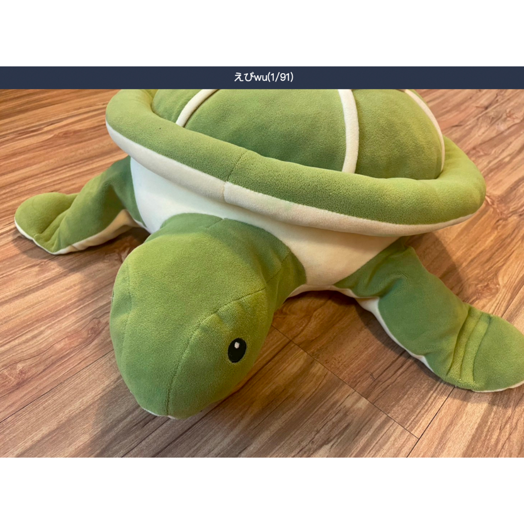二手 澎湖海生館 綠蠵龜 海龜抱枕 娃娃 長約42cm sea turtle doll A01