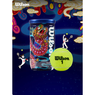 wilson網球 龍年限量版紀念網球 2025年多場地用球
