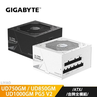 技嘉 UD750GM UD850GM UD1000GM PG5 V2（ICE） 金牌全模組 電源供應器