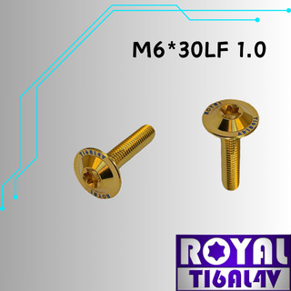 【瘋螺絲】ROYAL 鈦合金螺絲★ M6*30LF 1.0★64鈦/正鈦★出貨附發票★土豪金