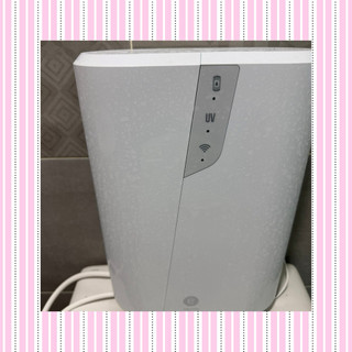 .Amway 安麗益之源pro淨水器分流器組（可換鵝頸）。最新款。9.9成新