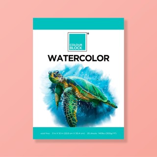 COLOUR BLOCK 專業級水彩紙本 25頁 140lbs 厚磅 吸水性強 水彩紙 美術紙 春遊 兒童節禮物