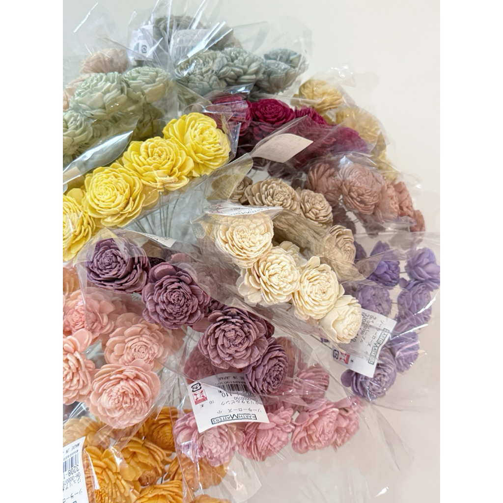 索拉玫瑰(中) 32081 原裝販售 10朵 索拉 索拉花 通草 太陽玫瑰 sola 玫瑰 大地農園 乾燥花