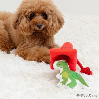 帕彼愛逗 日本 PET PARADISE 代理 disney 玩具總動員 抱抱龍與角錐 繩結玩具 [T5159]啾啾玩具