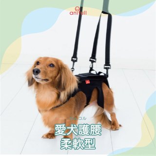 anifull 愛犬護腰-柔軟型 小型狗輔助 狗輔助 狗護具 狗後肢衰退 狗行走無力 狗退化 狗步行輔助