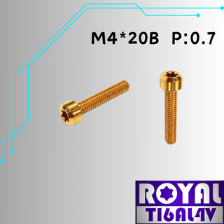 【瘋螺絲】ROYAL 鈦合金螺絲★ M4*20B P:0.7 錐形螺絲★64鈦/正鈦/鈦合金螺絲★出貨附發票★土豪金