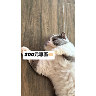 二手【正韓衣物】HELLO JINI 長袖上衣🇰🇷