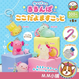 【M.M小舖】『預購』 3月 AMUSE 轉蛋 扭蛋 蠑螈公仔造型吊飾 蠑螈 繽紛 標記 吊飾 全5款