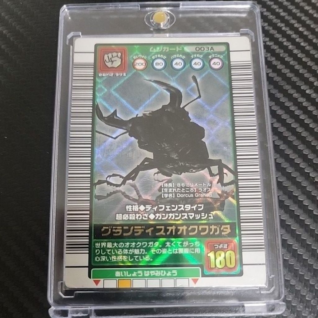 甲蟲王者 日版 2003年 銀卡 巨大扁鍬形蟲