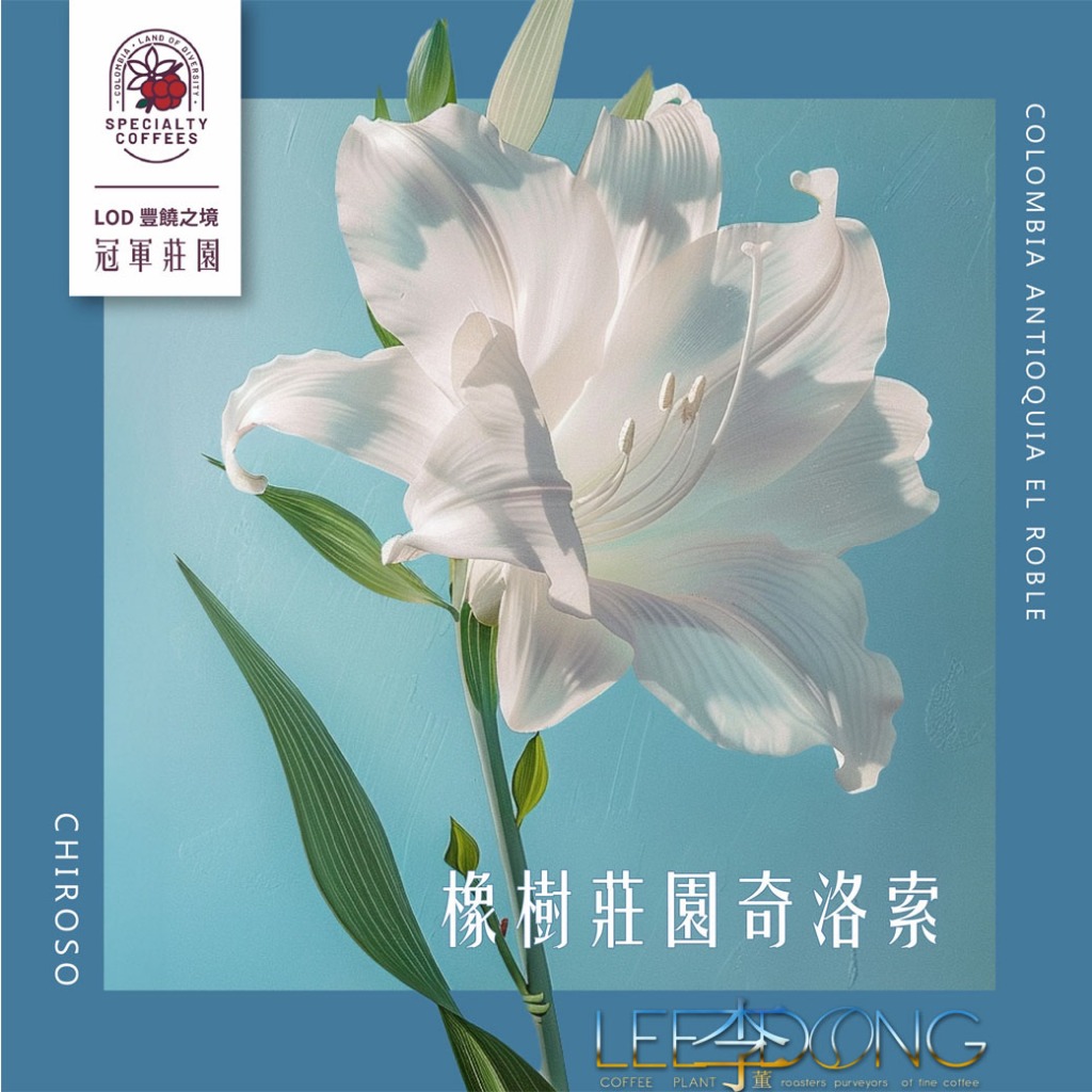 LOD 冠軍莊園 哥倫比亞 安蒂奧 橡樹莊園 奇洛索 水洗長發酵 德國 PROBAT AI色選機🏆冠軍烘豆師李董咖啡🏆