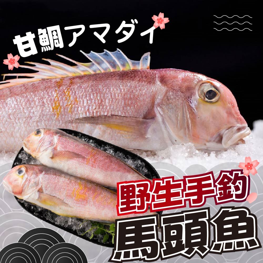 馬頭魚｜優惠推薦- 蝦皮購物- 2026年1月