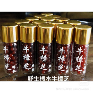 野生牛樟芝-牛樟滴丸