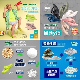 【現貨開發票 台灣快速出貨】正版母子鱷魚 馬拉松跑鞋 路跑推薦 台灣之光 蚵技迅捷5.0風馳y拖 BN522 BN523