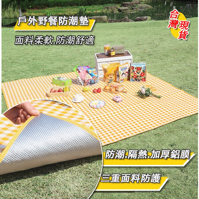 免運 隔日達🔥加厚鋁膜防水野餐墊 防潮隔熱 露營地墊 防潮墊 沙灘墊防水牛津布 野餐 露營 爬行墊 遊戲墊 戶外郊遊