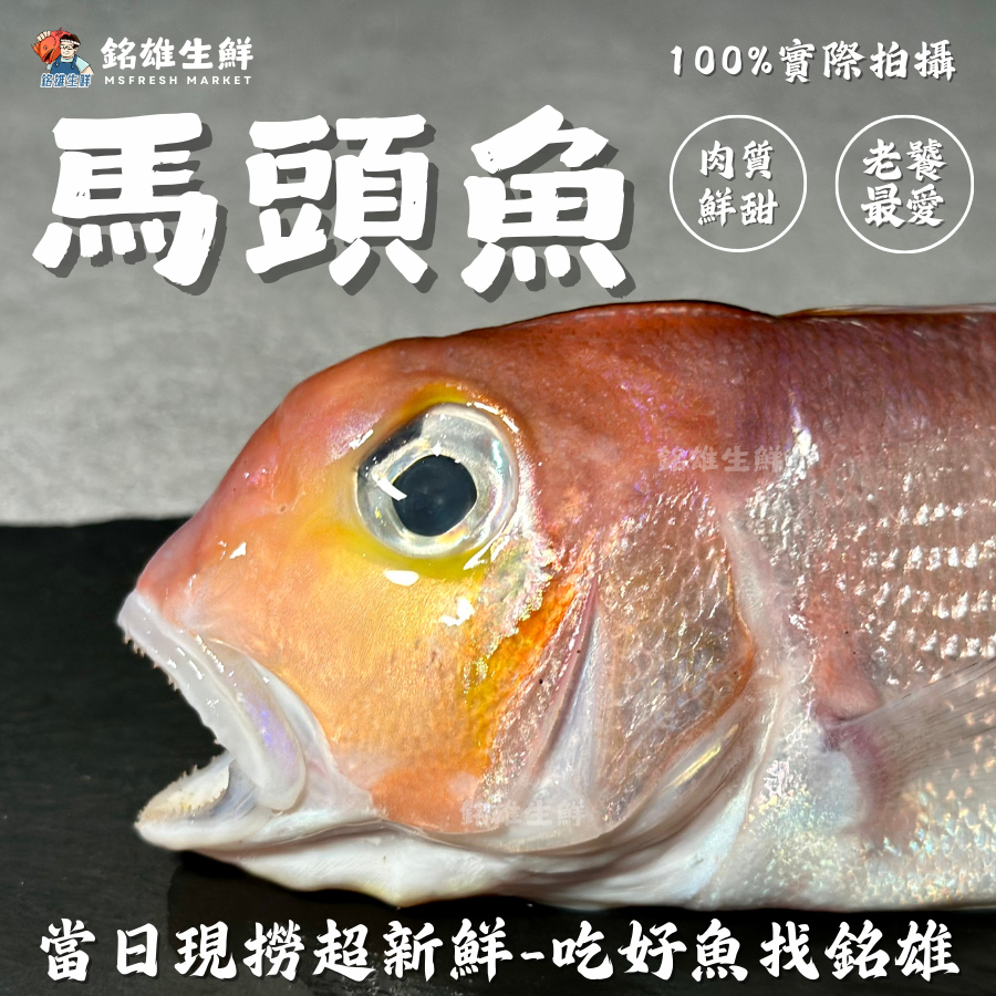 馬頭魚的價格推薦- 2026年1月| 比價比個夠BigGo
