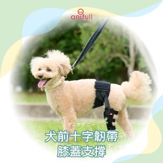 anifull Knee 前十字韌帶（ACL）膝關支撐帶｜犬用膝關節支撐 支撐輔助