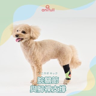anifull 小型犬~大型犬 脘關節與腳裸支撐輔助帶 小型狗輔助 狗輔助 狗護具 狗後肢衰退 狗行走無力 狗退化