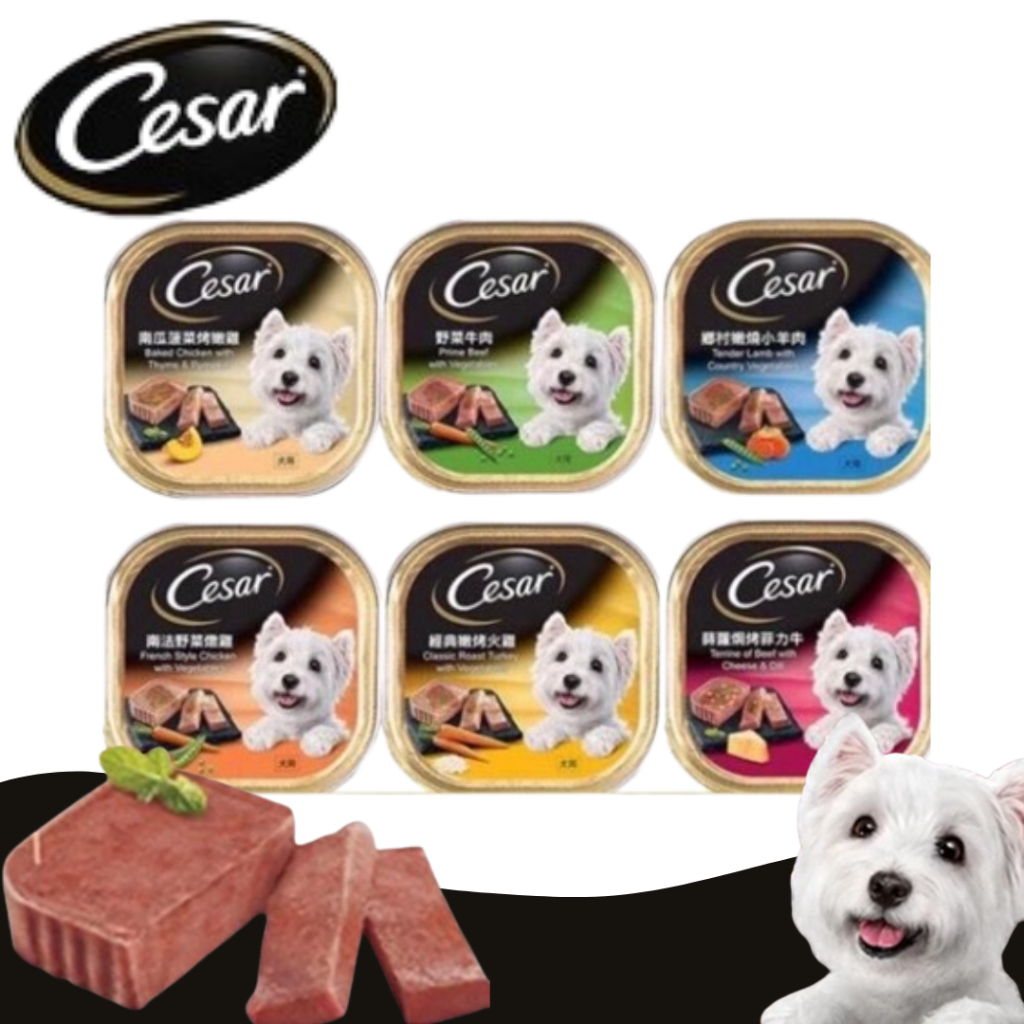 🐶寵物踏踏🐱🔥快速出貨🔥西莎餐盒 100g 狗狗餐盒 狗狗食物 Cesar 西莎 狗餐盒 狗零食 狗罐頭