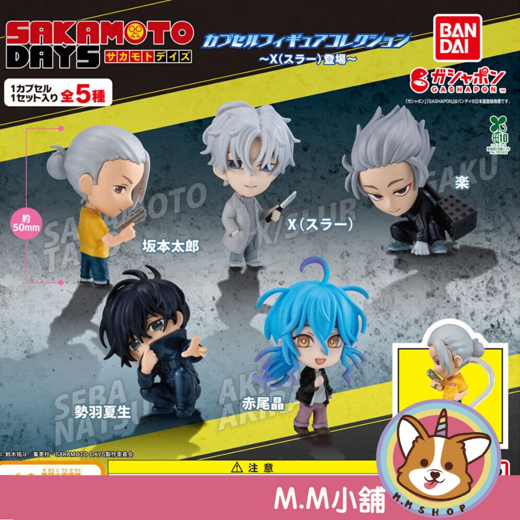 【M.M小舖】『現貨』 BANDAI 轉蛋 扭蛋 坂本日常角色公仔 X登場 坂本 樂 X 勢羽 公仔 全5款