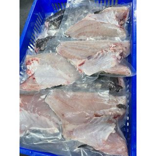 龍虎石斑魚排魚菲力去骨去頭好料理